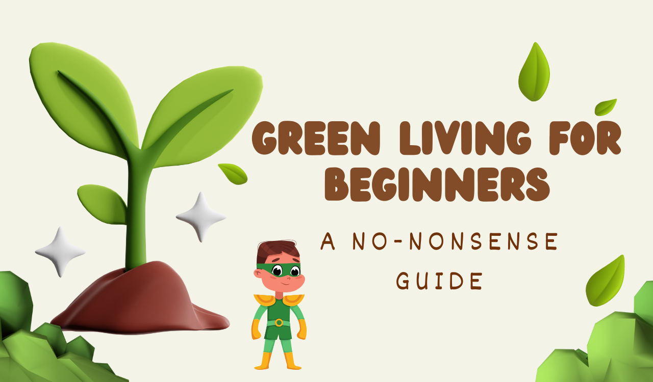 Read more about the article Green Living for Beginners: A No-Nonsense Guide