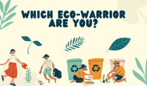 Read more about the article Find Your Inner Eco-Hero!